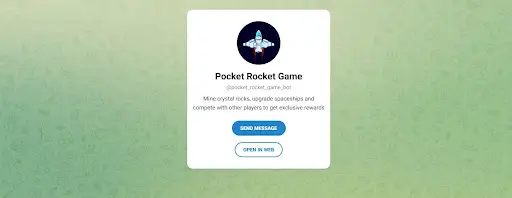 Pocket Rocket Game СКАМ