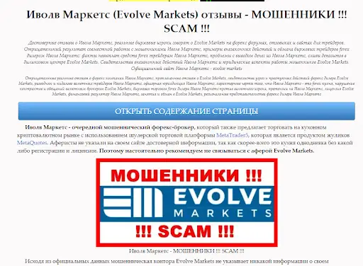 Отзыв Evolve Markets 