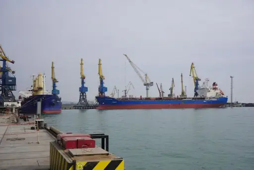 Мировой продовольственный кризис