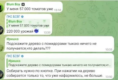 Tomarket развод