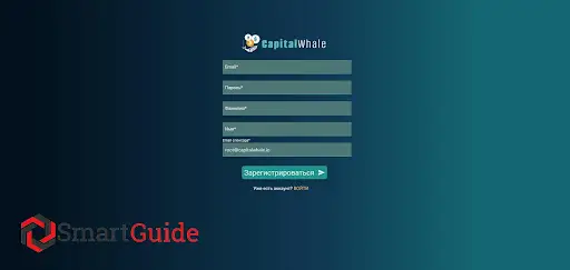 обзор capital whale io