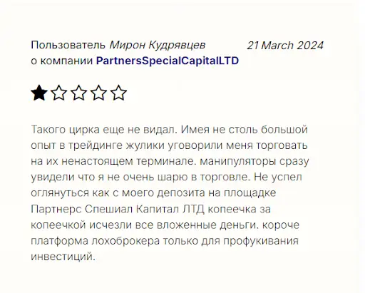 Выводы о PartnersSpecialCapital