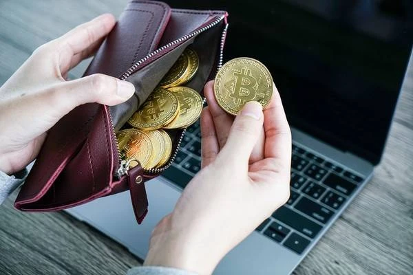 Где лучше всего хранить криптовалюту Где лучше всего хранить криптовалюту