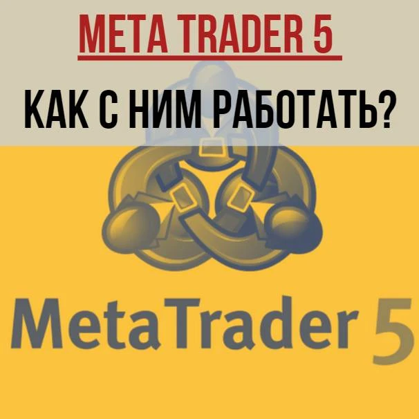 Осваиваем MetaTrader 5 - руководство и обзор Осваиваем MetaTrader 5 - руководство и обзор