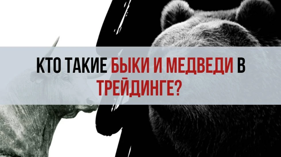 Бык и медведь - преимущества и недостатки на рынке Бык и медведь - преимущества и недостатки на рынке